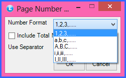 Page Number